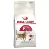 Royal Canin Fit 32 Yetişkin Kedi Maması 4 Kg