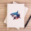 Color Shark Çizgisiz Kanvas Defter