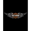 Harley Davidson Wings Büyük Sırt Patch Yama