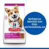 Hills Adult Small Küçük Irk Kuzulu Yetişkin Köpek Maması 5 Kg+1 Kg Hediyeli