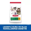 Hills Kitten Tavuklu Yavru Kedi Maması 1.5 Kg