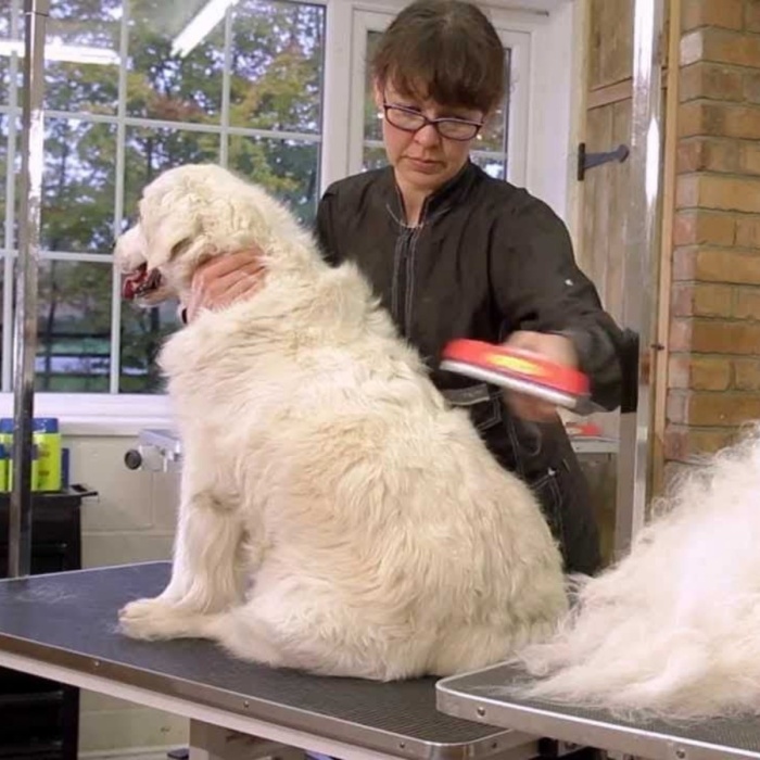 23 KG Üzeri Uzun Tüylü Köpekler İçin Tüy Toplayıcı Ergonomik Tarak (4434)