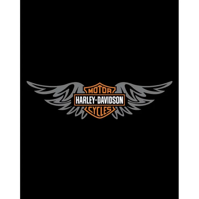 Harley Davidson Wings Büyük Sırt Patch Yama