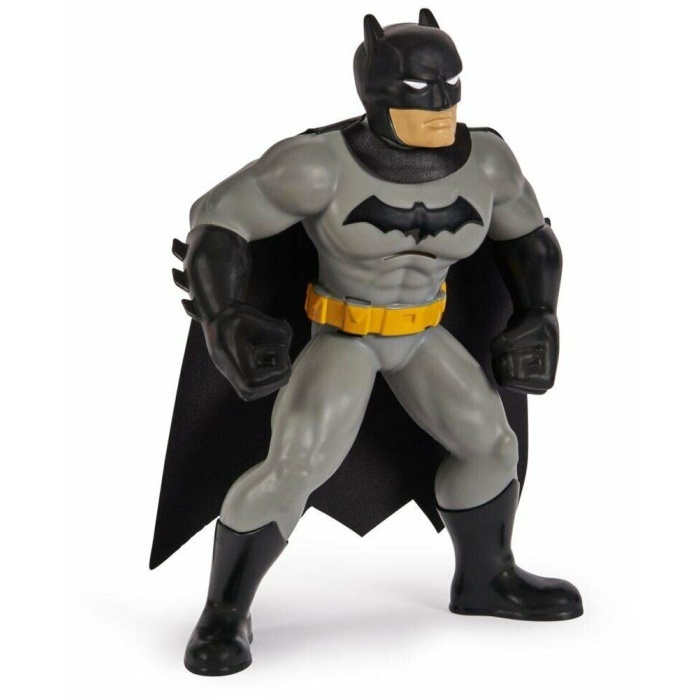 Batman Yüzme Arkadaşları - 6067008  (Lisinya)