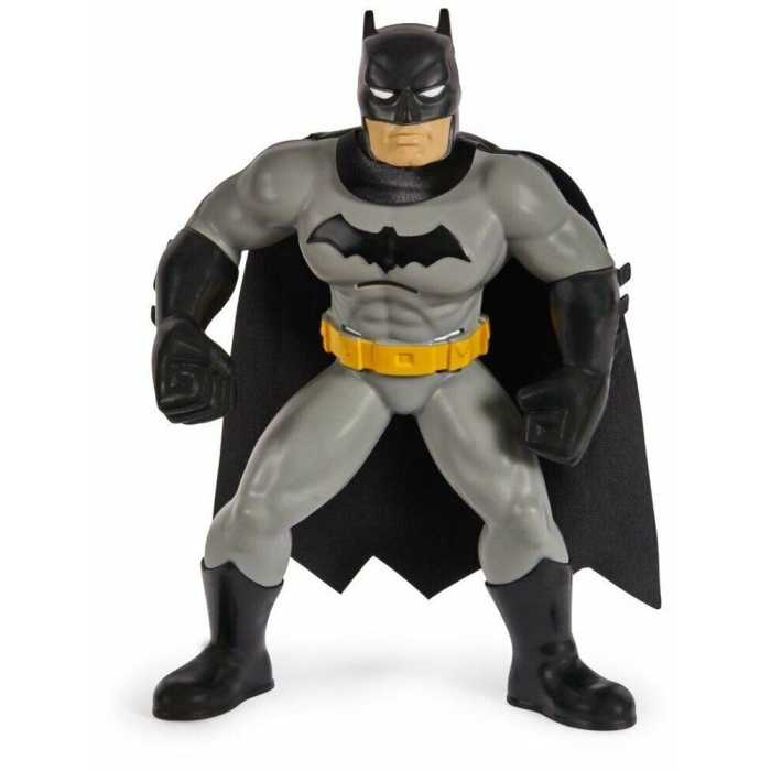 Batman Yüzme Arkadaşları - 6067008  (Lisinya)