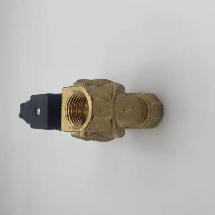 1/2 NK GM SOLENOİD VALF (Lisinya)