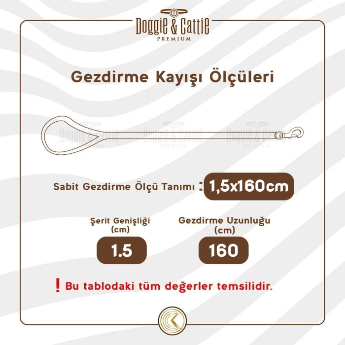 Doggie Konfor Dokuma Gezdirme Kayışı Turuncu 1.5*160 Cm (DGZT-15)