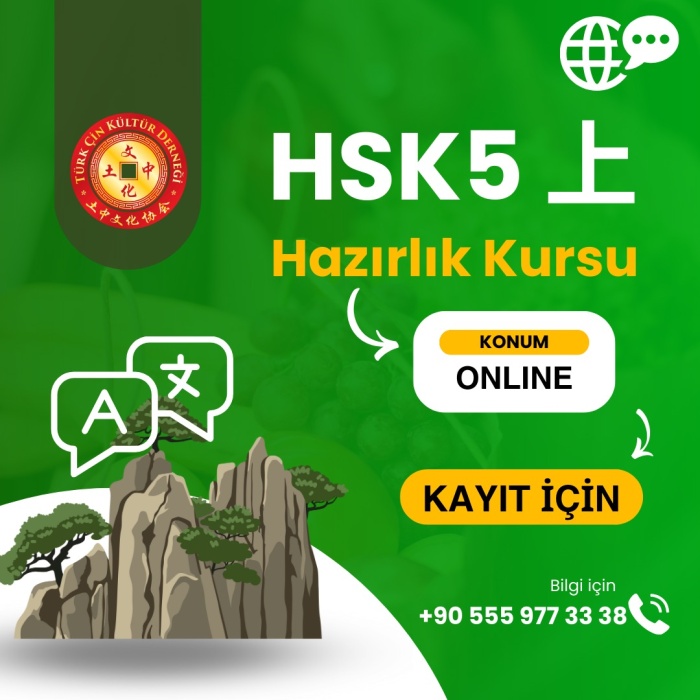 HSK5 上 SINAVI ONLINE HAZIRLIK KURSU