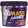 BigJoy Sports Bigmass Gainer 5 kg