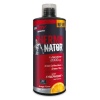 BigJoy Sports Thermonator L-Carnitine 1000 ml