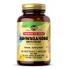 Solgar Ashwagandha Root Extract 400 mg 60 Tablet