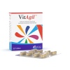 Vitagil Multivitamin Mineral COQ10 Beta Karoten Ginseng 30 Tablet