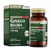 Nutraxin Ginkgo Biloba 60 Tablet