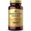 Solgar Phosphatidyl Choline 100 Kapsül