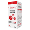Fermix +2 Demir Şurubu 120 ml