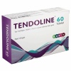 Tendoline Tablet Tip I Kollajen MSM L-Arjinin İçeren 60 Tablet