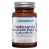 Avicenna Glukozamin Kondroitin MSM Hyaluronik Asit 90 Tablet