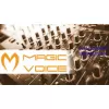 MAGICVOICE MV-10790 230 WATT HAREKETLİ LED IŞIK (4434)