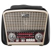 PLUS GOLD USB-TF DESTEKLİ BLUETOOTH FM-AM NOSTALJİK RADYO MDR-8BT (4434)