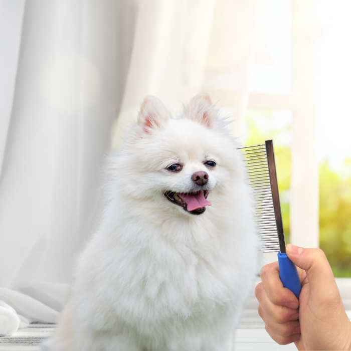 Tüy Açıcı Kedi Köpek Tarağı Tek Taraflı Metal Dişli Evcil Hayvan Bakım Fırçası (4434)