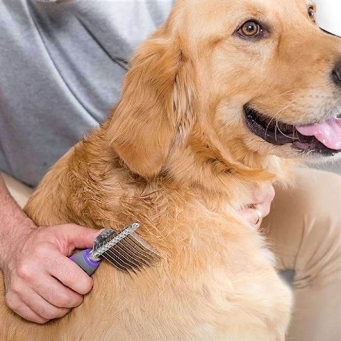 Düğüm Açıcı Pet Fırçası Emniyetli Uzun ve Çelik Dişli Kedi Köpek Tüy Kıtık Açma Tarağı (4434)