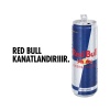 Red Bull Enerji İçeceği 355 Ml