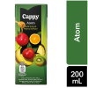 Cappy Atom Ballı Karışık Meyve Nektarı Karton Kutu 200 ML