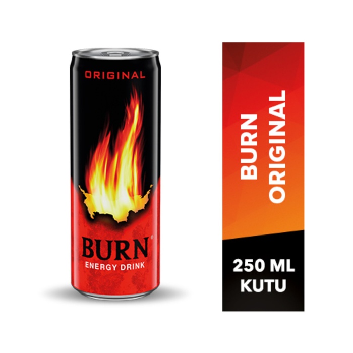 Burn Enerji İçeceği Kutu 250 ML