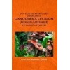 Dünya Literatüründen Örneklerle Ganoderma Lucidum (Reshi-Lingzhi) Ve Sağlığa Etkileri  (4022)