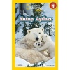 National Geographic Kids - Kutup Ayıları  (4022)