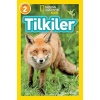 Tilkiler - Seviye 2  (4022)