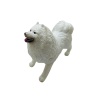 Soft Köpekler - Samoyed Cinsi Köpek  - E013 (Lisinya)