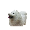 Soft Köpekler - Samoyed Cinsi Köpek  - E013 (Lisinya)