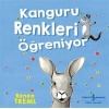 Kanguru Renkleri Öğreniyor