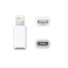 Apple iPhone / iPad Micro Usb Dönüştürücü Adaptör OTG Aparat (4767) - Lisinya