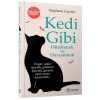 Kedi Gibi Düşünmek ve Davranmak