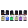 Zen Assorted Fragrance Oil Ucucu Esans Yağı 24lü Set ( Lisinya )