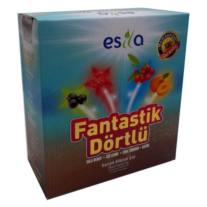 Fantastik Dörtlü Bitkisel Yaz Çayı 45 Süzen Poşet