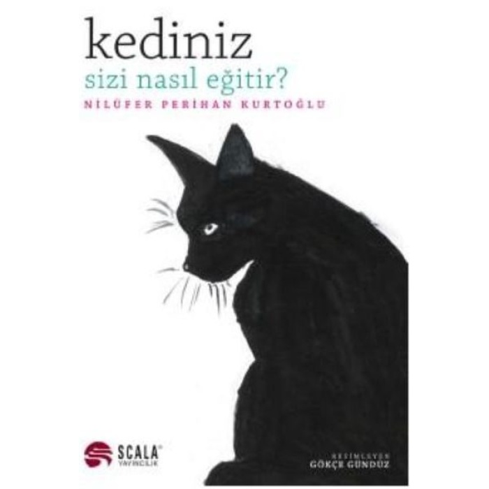 Kediniz Sizi Nasıl Eğitir  (4022)