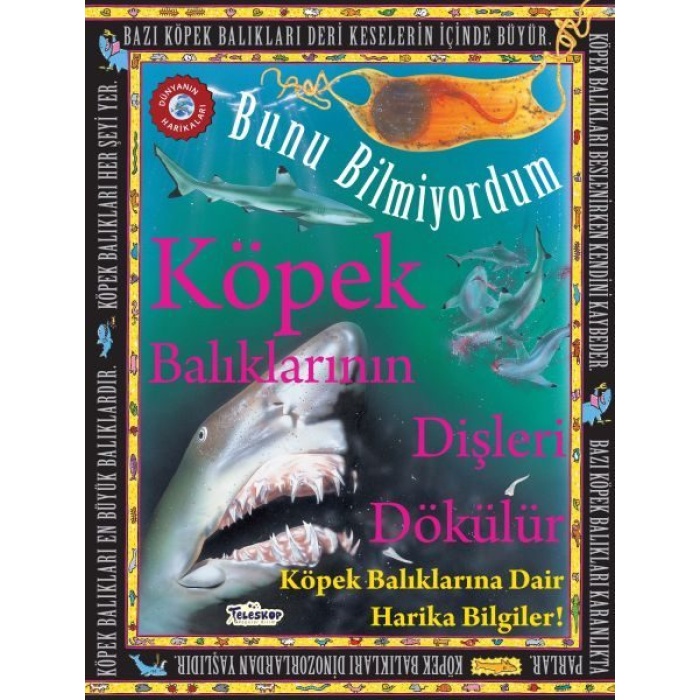 Köpek Balıklarının Dişleri Dökülür - Bunu Bilmiyordum - Köpek Balıklarına Dair Harika Bilgiler!  (4022)