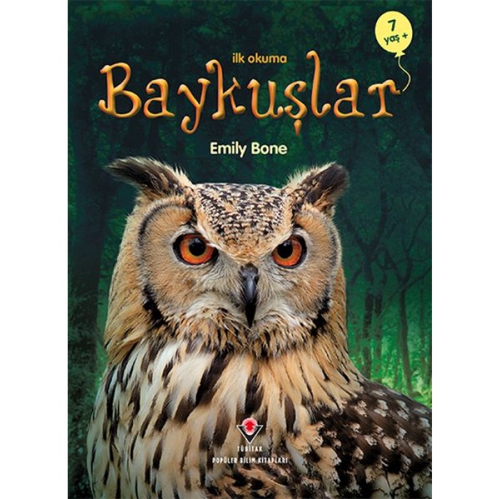 İlk Okuma - Baykuşlar