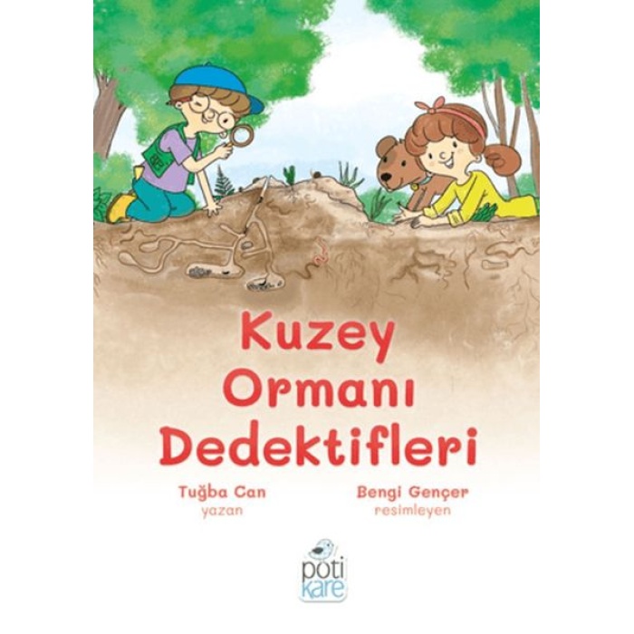 Kuzey Ormanı Dedektifleri