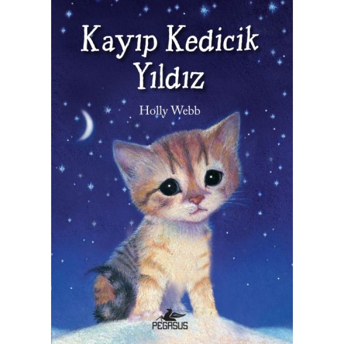 Kayıp Kedicik Yıldız