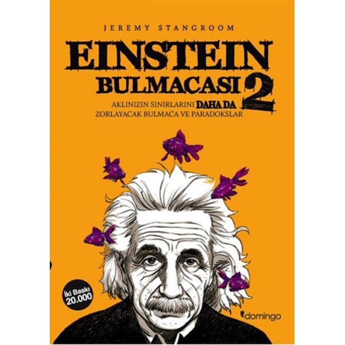 Einstein Bulmacası 2  Aklınızın Sınırlarını Zorlayacak Bulmaca ve Paradokslar