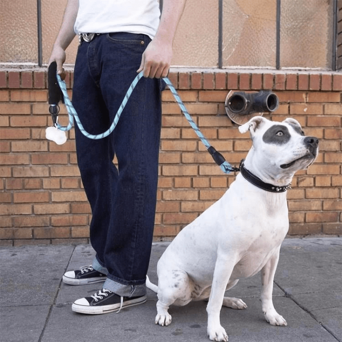 Reflektörlü Fosforlu Köpek Gezdirme Halatı Tasma Kayışı Metal Kancalı 130 Cm ( Lisinya )