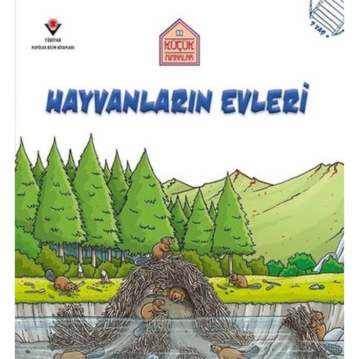 Hayvanların Evleri - Küçük Mimarlar