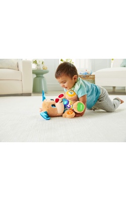 Fisher Price Eğitci Köpekçik (Türkçe)