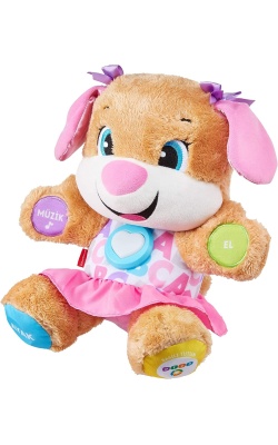 Fisher Price Eğitci Köpekçiğin Kız Kardeşi (Türkçe)