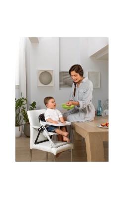 Chicco Chairy Yükseltici Mama Sandalyesi - Laydbug