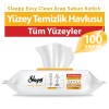 SLEEPY EASY CLEAN ARAP SABUNU KATKILI YÜZEY TEMİZLİK HAVLUSU 100 YAPRAK